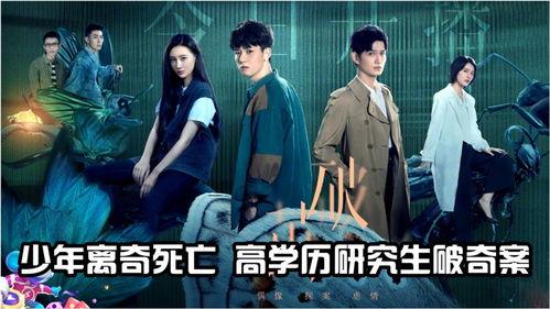 破茧电视剧,逆境重生，青春奋斗之路