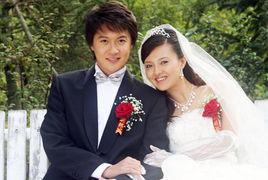 傅晶主演的电视剧,情感纠葛与命运抉择