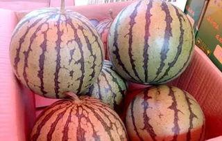 上海最新吃瓜热门事件,揭秘网络热议事件背后的真相