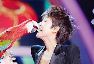 跳舞男的明星网红成明星,网红舞者如何蜕变为闪耀明星