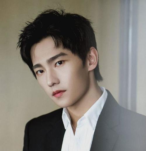 杨洋明星网红是谁,当明星与网红的跨界传奇