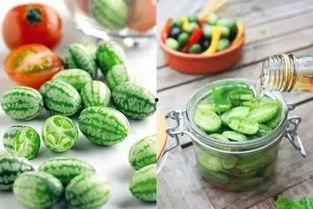 51cg今日必吃大瓜,今日必吃大瓜，娱乐圈最新动态一网打尽！