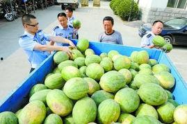 多伦多吃瓜群今日新闻