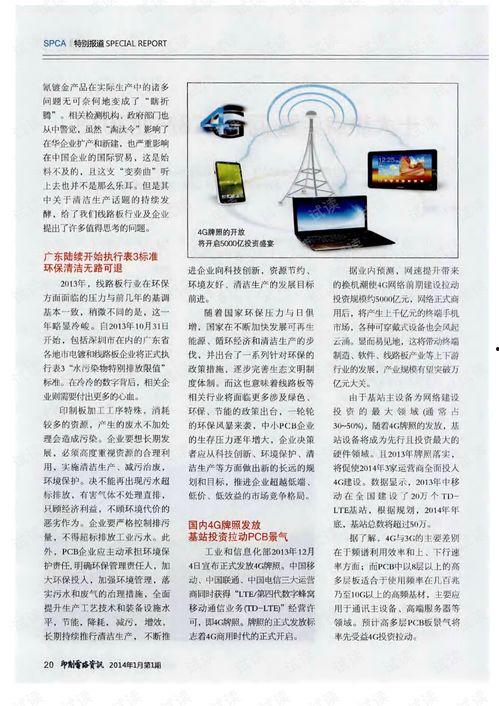 2013年度热门话题