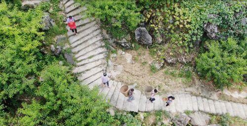 牧羊村烧烤的明星网红