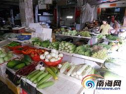 今日万宁瓜菜最新价格,新鲜蔬菜瓜果价格一览