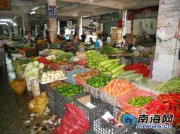 今日万宁瓜菜最新价格,新鲜蔬菜瓜果价格一览