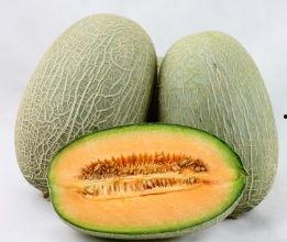 哈密瓜最新今日价格行情,新鲜出炉，价格波动一览无遗