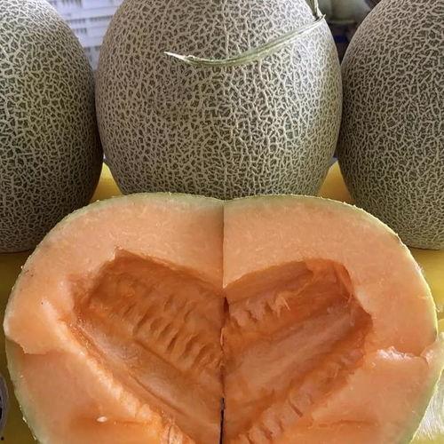 哈密瓜最新今日价格行情,新鲜出炉，价格波动一览无遗