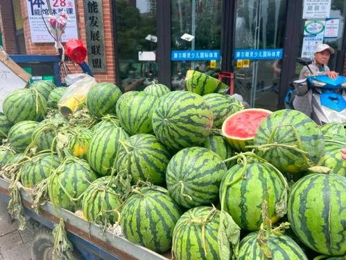 漯河小吊瓜今日价格行情,价格波动，市场供需分析”