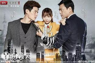 职场电视剧,职场剧中的权谋与成长