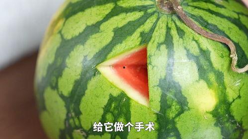 热门瓜有哪些,揭秘明星幕后故事