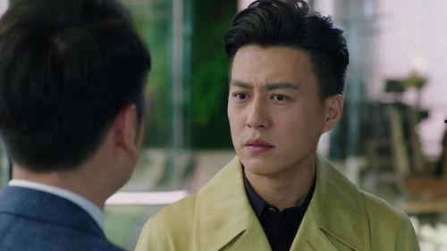 电视剧我的前半生,职场女性的蜕变与成长之路