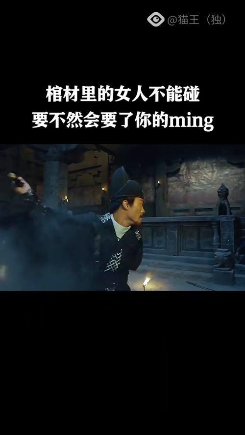 随便看电影,随性观影之旅