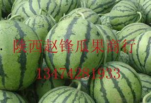 湖州哈密瓜今日价格行情,价格行情一览”