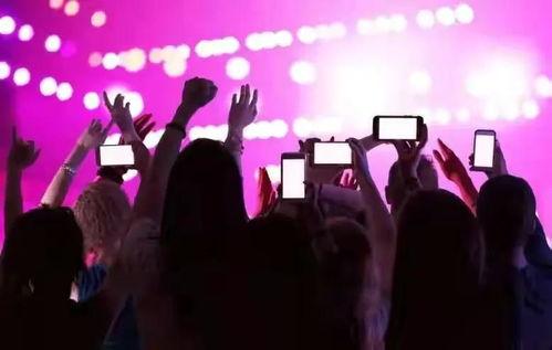 央视网评流量明星网红,流量明星网红现象解析与反思