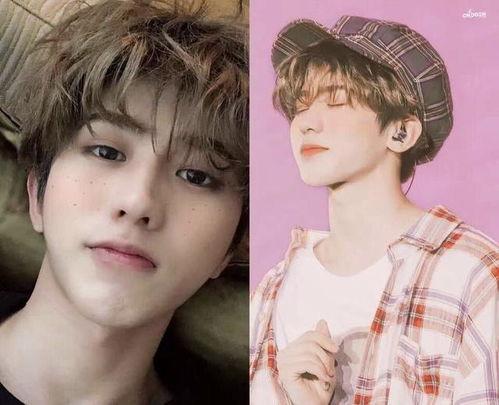 央视网评流量明星网红,流量明星网红现象解析与反思