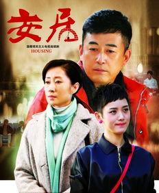 安居电视剧,聚焦基层民生，描绘幸福家园画卷