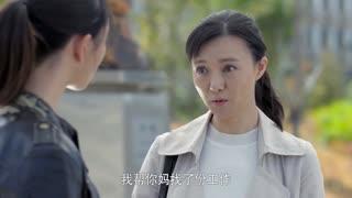 安居电视剧,聚焦基层民生，描绘幸福家园画卷