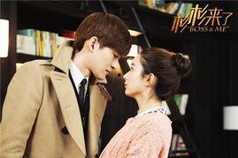 杉杉来了电视剧,甜蜜爱情与职场奋斗的完美交织