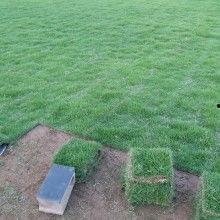 热门话题草坪图片,探索热门话题草坪的生态魅力