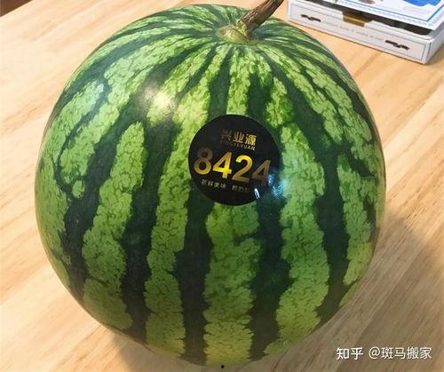 小圆瓜今日价格表最新图片,最新行情一览