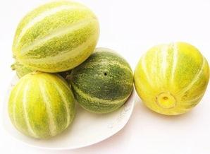 小圆瓜今日价格表最新图片,最新行情一览