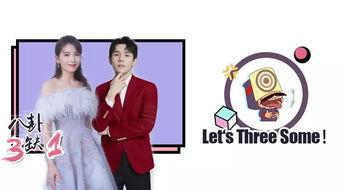 和明星网红合作的公司