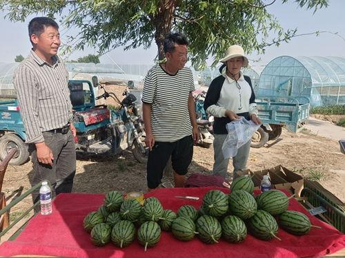 中牟吊瓜今日报价多少,行情波动，价格几何？”