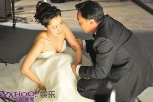 明星网红婚纱照片大全,明星网红婚纱照大盘点