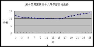 云南扁瓜今日价格行情走势,波动中寻求平衡