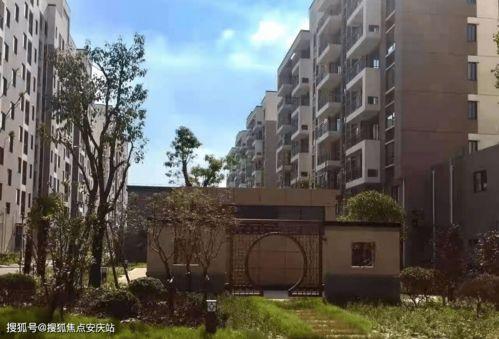 今日吊瓜行情价格表最新,价格波动解析与市场动态概览