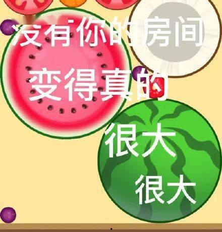 每日51cg10今日大瓜,揭秘娱乐圈最新热点事件