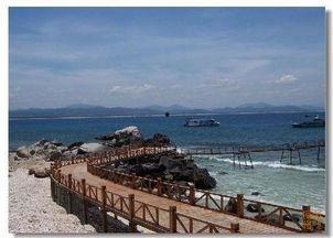 热门话题沙滩旅游