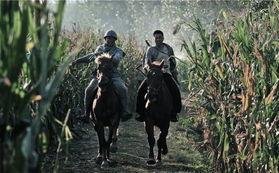 中国骑兵电视剧,烽火岁月中的中国骑兵传奇