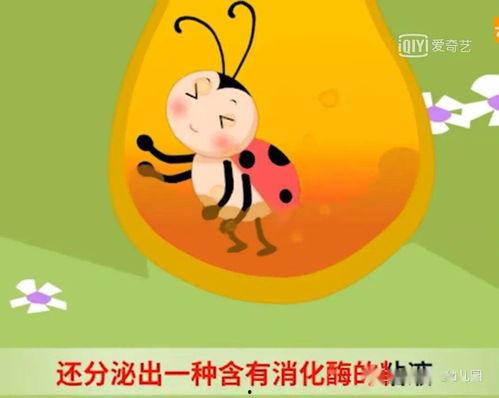 娱乐吃瓜酱睡前小故事